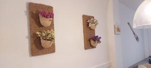 Serloren Jávea Playa