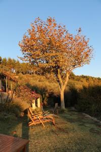 Villas Mas Chamarel a Sanary-sur-Mer au milieu des vignes et oliviers : photos des chambres