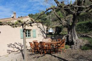 Villas Mas Chamarel a Sanary-sur-Mer au milieu des vignes et oliviers : photos des chambres