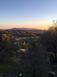 Villas Mas Chamarel a Sanary-sur-Mer au milieu des vignes et oliviers : photos des chambres