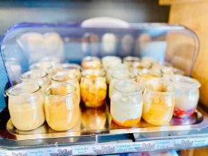 Hotels Hotel Jules : photos des chambres