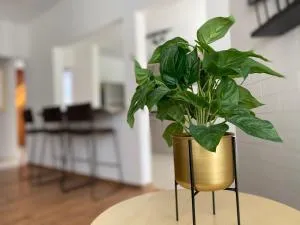 Departamento Nubes - El Sumidero