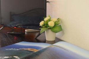 Su Fassoi Cabras img43