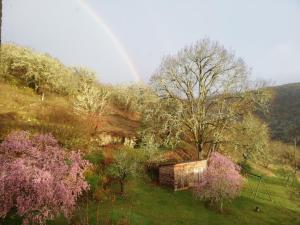 B&B / Chambres d'hotes Oltarcie - Maison d'hote avec piscine : photos des chambres