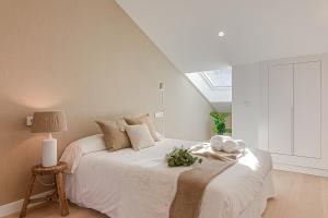 Riazor Deluxe Penthouse