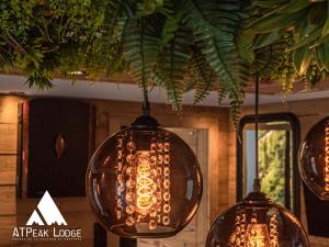 Chalets ATPeak Lodge Maison de Montagne d'exception : photos des chambres
