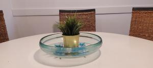 Serloren Jávea Playa