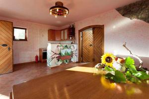 Holiday home in Otocec Kranjska Krain 26062 