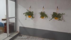 DEPARTAMENTO URBANO EL CHALLAO