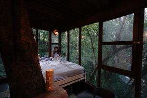 Treeful Treehouse Sustainable Resort
