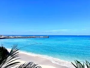 Studio bord de mer - Filaos