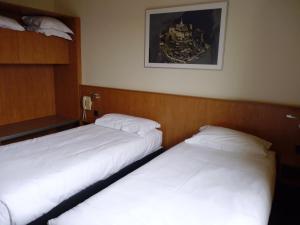 Hotels Hotel Vert : Chambre Lits Jumeaux