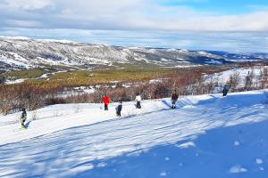 Active Adventure Base - Apartment & Lavvo, Dagali Fjellpark