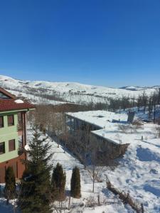 Apartments Zlatiborski Gajevi