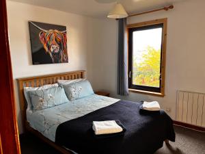 Snowgoose Apartments & Bunkhouse