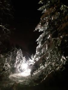 Alapihan Arboretumin vierasmaja ja sauna