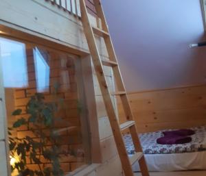 Apartamenty i pokoje gościnne Nowita