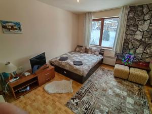 Apartment Love Pamporovo