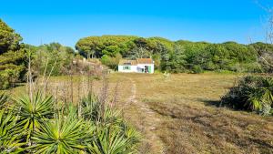 Ensemble de 2 maisons dans les dunes