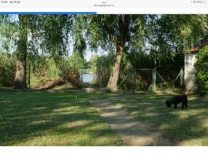 Kis Tisza fishing guest house