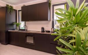 Aquarium Residence Penthouse 6