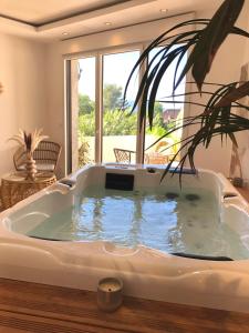 Appartements Studio La Boheme Jacuzzi et Terrasse vu sur Pic Saint Loup : photos des chambres