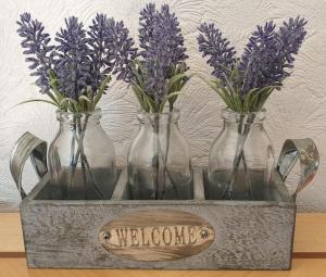 Pinfold Cottage on the edge of lake district