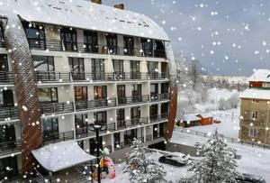 Bakuriani Haystack Apartment #53