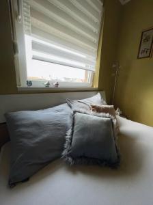 Stan na dan Apartman Stella