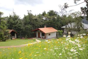 Pousada Aguia da Montanha