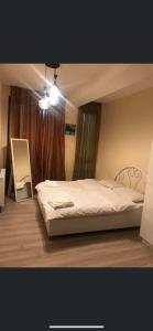 Bakuriani Haystack Apartment #53