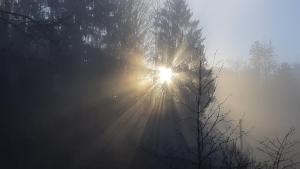 Apartment mit eigenem Garten in traumhafter Lage