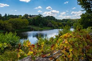 B&B / Chambres d'hotes Chateau Destinee : photos des chambres