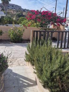 Aelia House Kefalos - Cozy & Quiet