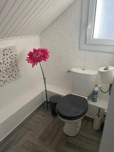 Maison centre ville Touques