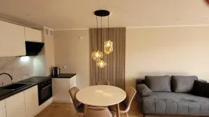 Słoneczny apartament z ogródkiem - 格但斯克普鲁什奇