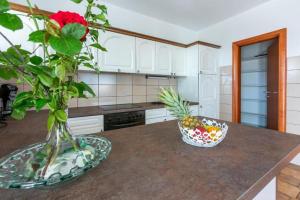 Apartments Vila Antula