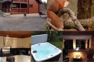 Red Squirrel log cabin with hot tub - Mulben