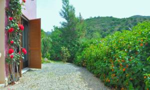 Case Vacanza Bithia img10