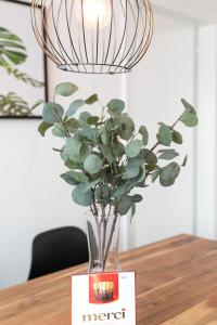 INN JOY Apartments - Rorschach mit Panoramasicht