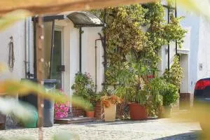 Schwalbenhof Wöllnau - Bad Düben