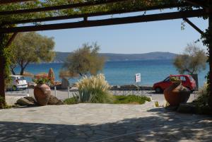 Oasis studios Samos Greece