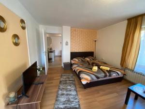 Studio Apartment room in Guest House Kevser
