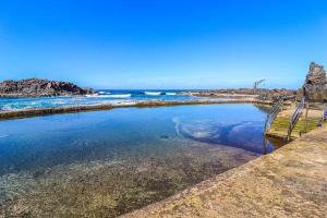 Rentaliday Wild Pris