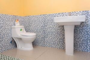 Apartamentos Palo Coco