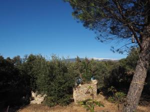 Maisons de vacances Small stone chalet with private terrace, Villes-sur-Auzon : photos des chambres