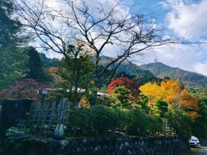 EK House Hakone Shushinso 箱根修身荘