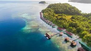 Papua Paradise Eco Resort - Sageurin