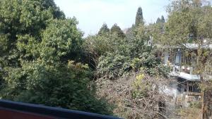 Damfu Basera Homestay