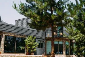 Lighthouse Suites - Chacurra